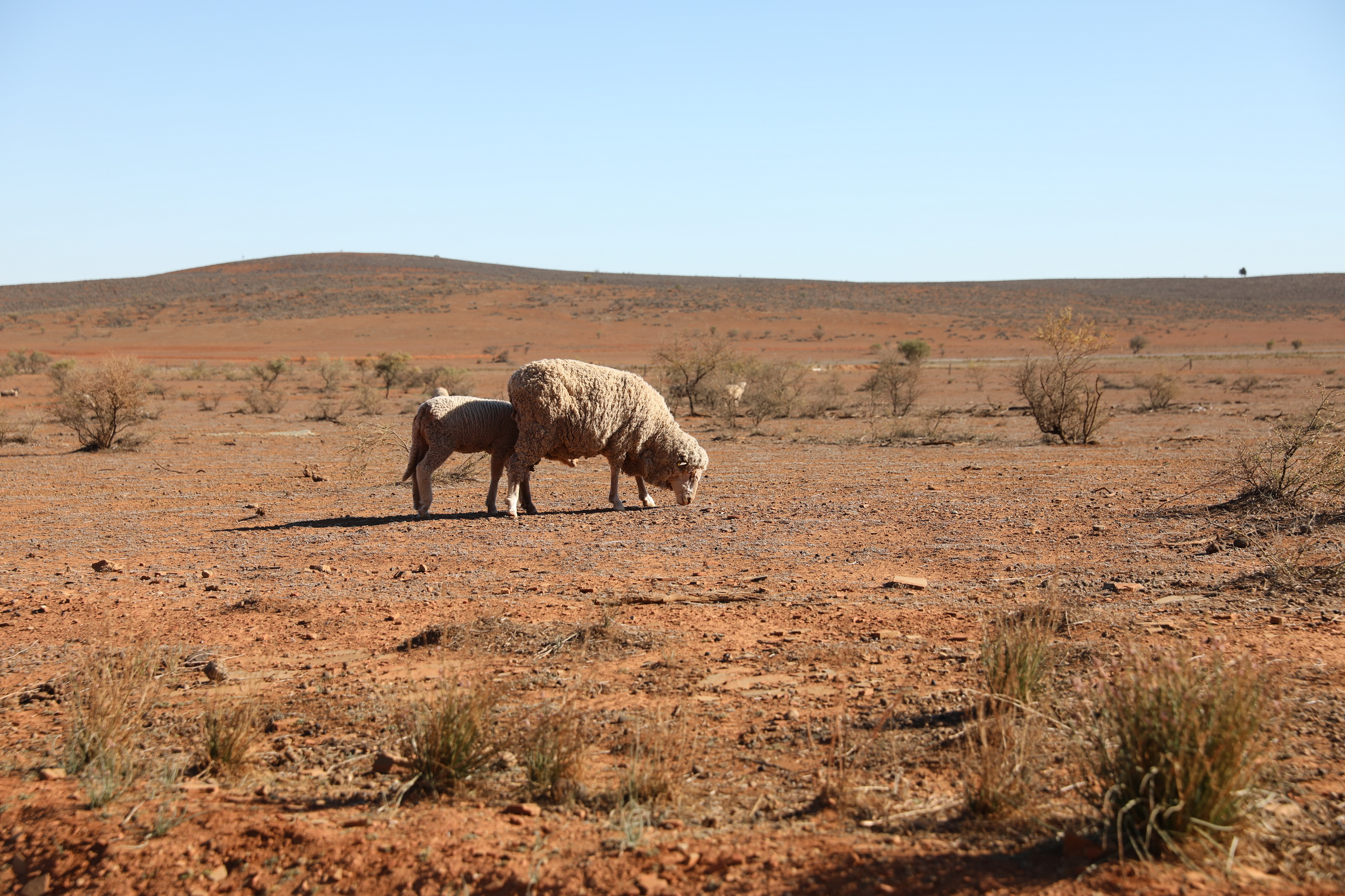 2019 09 02 09 13 40 Canon EOS 5D Mark IV 0001